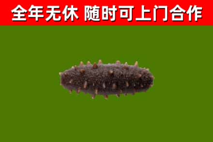 雷波县烟酒回收干海参.jpg